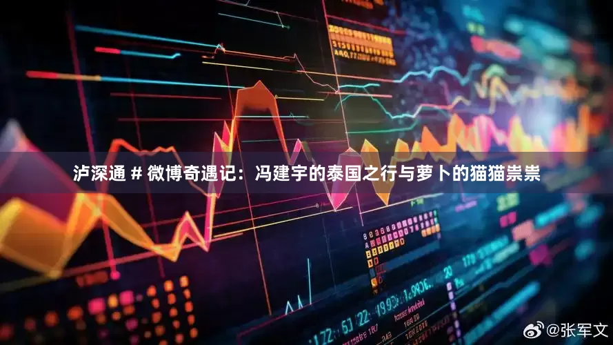 泸深通 # 微博奇遇记：冯建宇的泰国之行与萝卜的猫猫祟祟