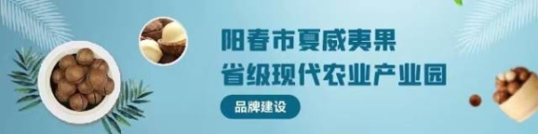 东方优配 风雨同舟，阳春夏威夷果产业园共护“金果”